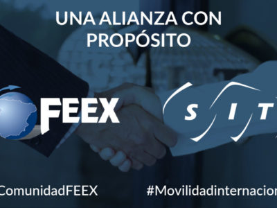 SIT SPAIN AND FEEX, UNA UNIÓN CON PROPÓSITO